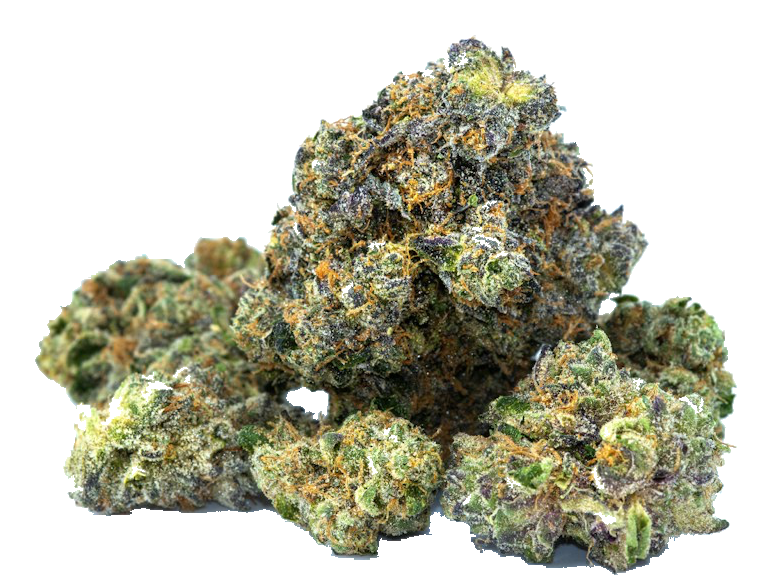 Double Cherry Pie flower with dense, clean buds, an example of good cannabis quality