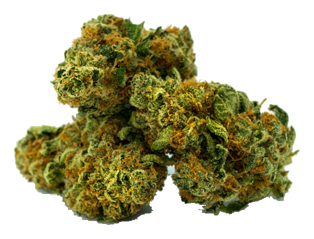 Durban Poison flower