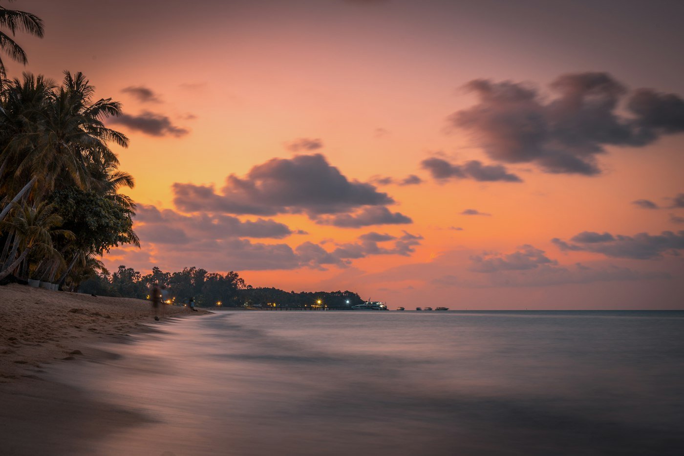 Palm trees and sea on Koh Samui, where heat and humidity make storage important